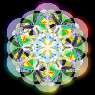 (c)2009 Image Ecology