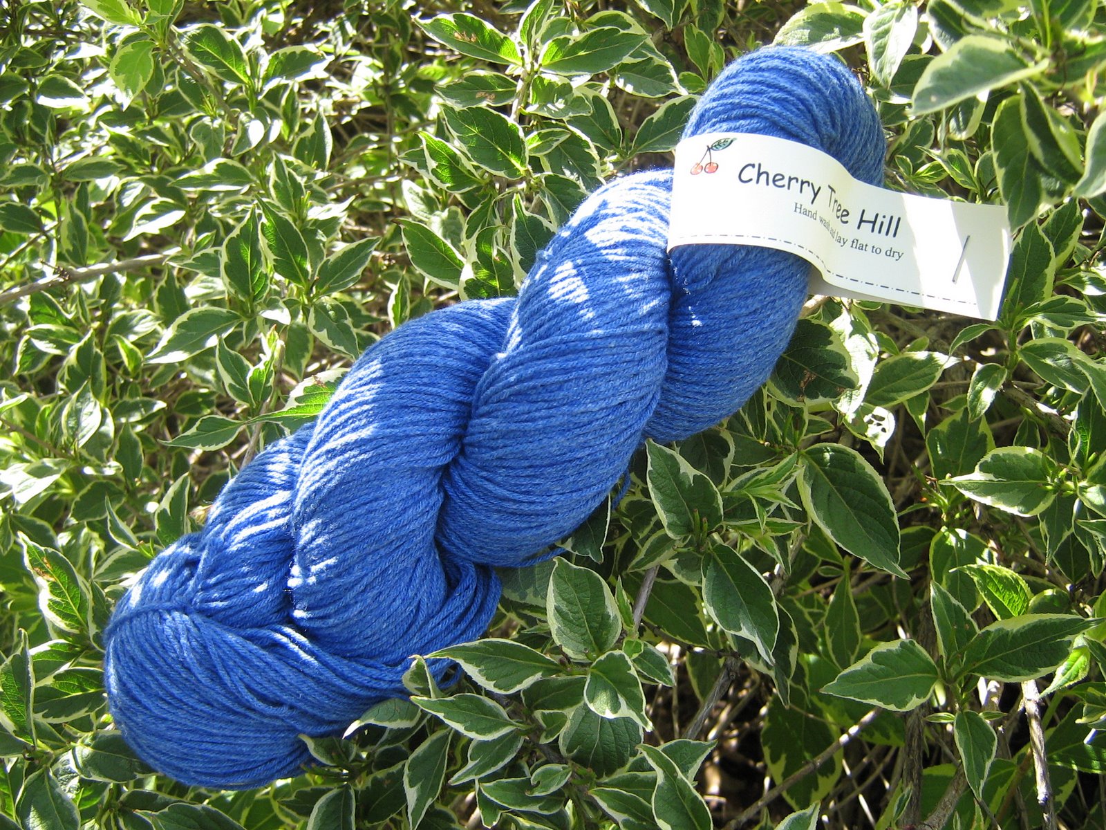 [little+boy+blue+yarn+sos+socks+001.jpg]