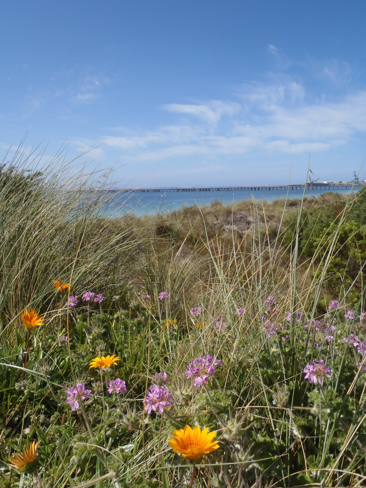 Flowers View