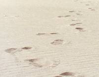Footprints in the sand Footprints in the sand