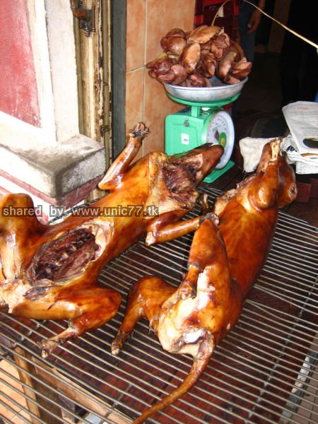 would_you_eat_640_02.jpg (450×600)