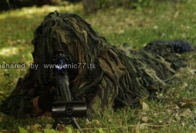 theyre_hiding_640_11.jpg (640×435)