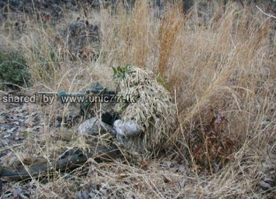 theyre_hiding_640_23.jpg (640×461)