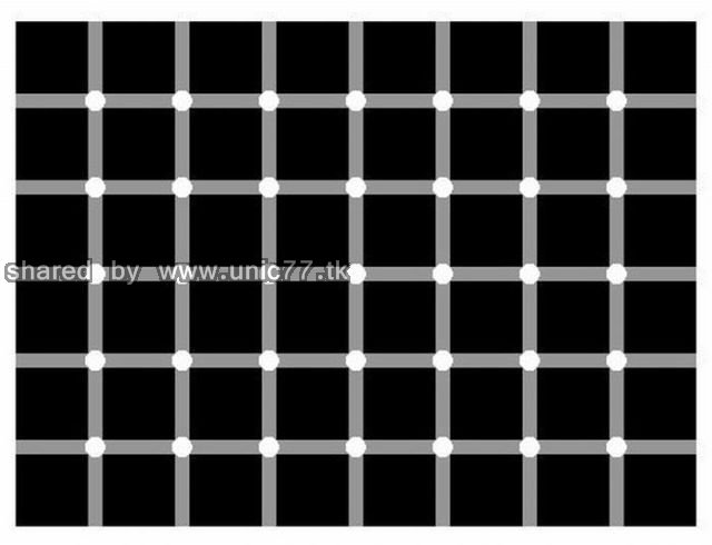 cool_eye_deception_640_02.jpg (640×490)