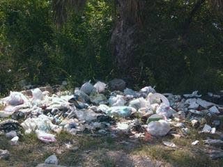[basura.bmp]