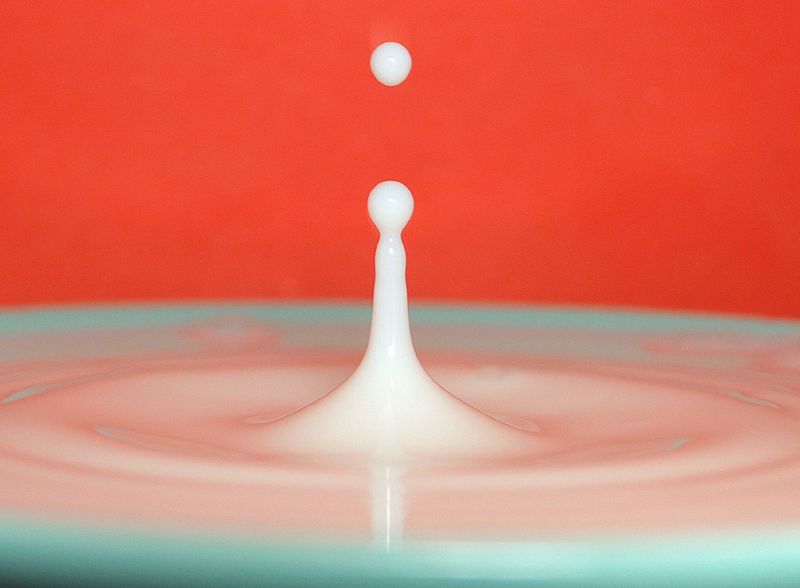 [Le+lait.jpg]