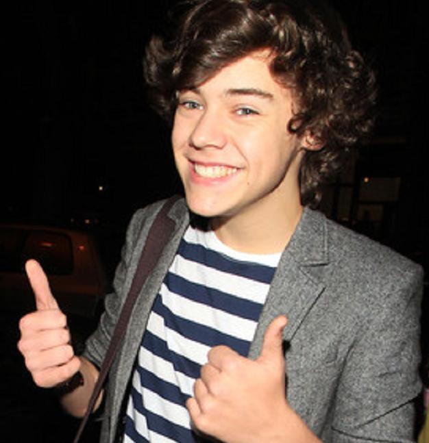 Personal Profile of Harry Styles One Direction