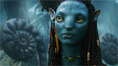 Avatar Movie...To Visit The Official Avatar Website...
