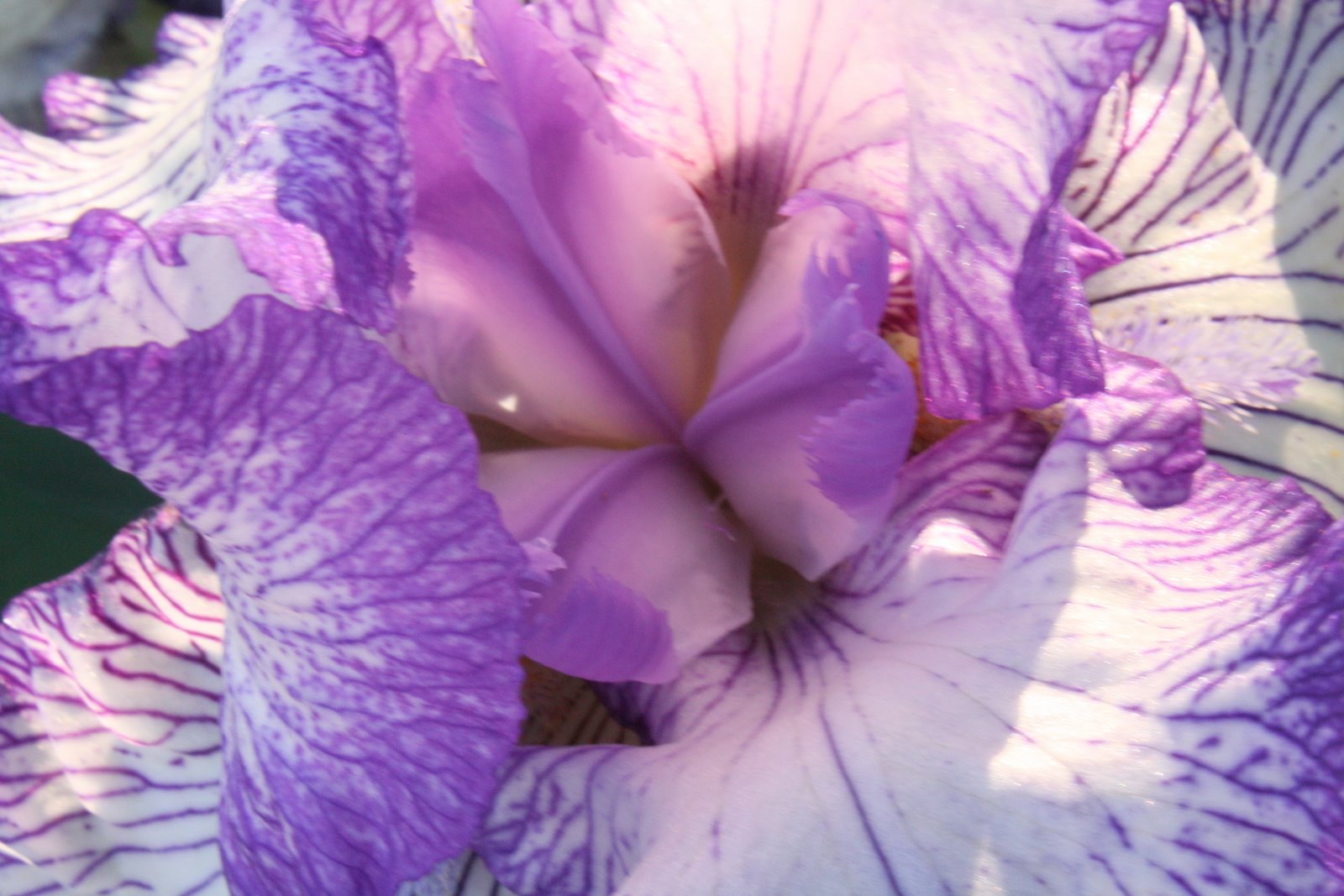 [IMG_1599.JPG]
