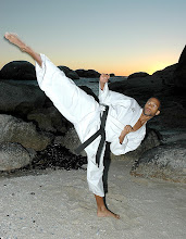 karate pic