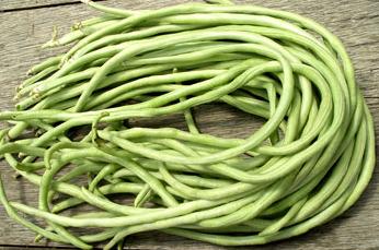 [Village+Bean+new.JPG]