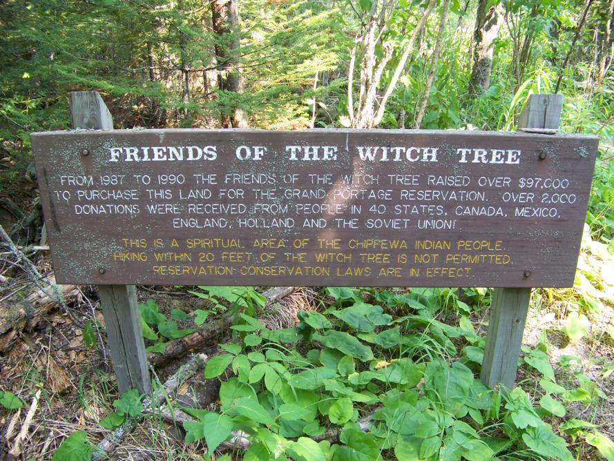 [WitchTreeSign.JPG]