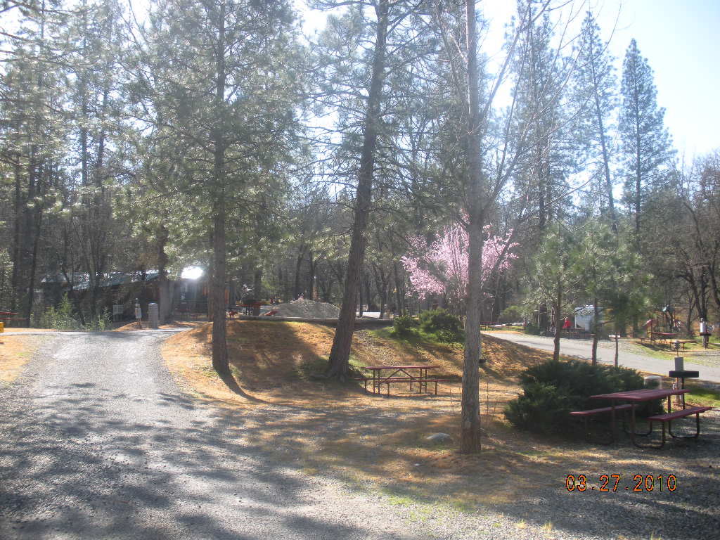 Westward Bound Mariposa CA and Yosemite Nat'l Park