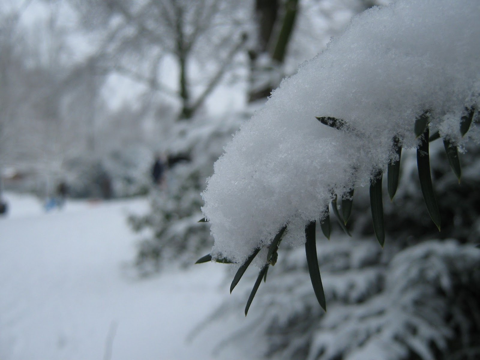een prostituee claimt geen liefde