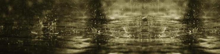 The Rain Gods