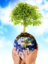 Saiba mais sobre o meio ambiente