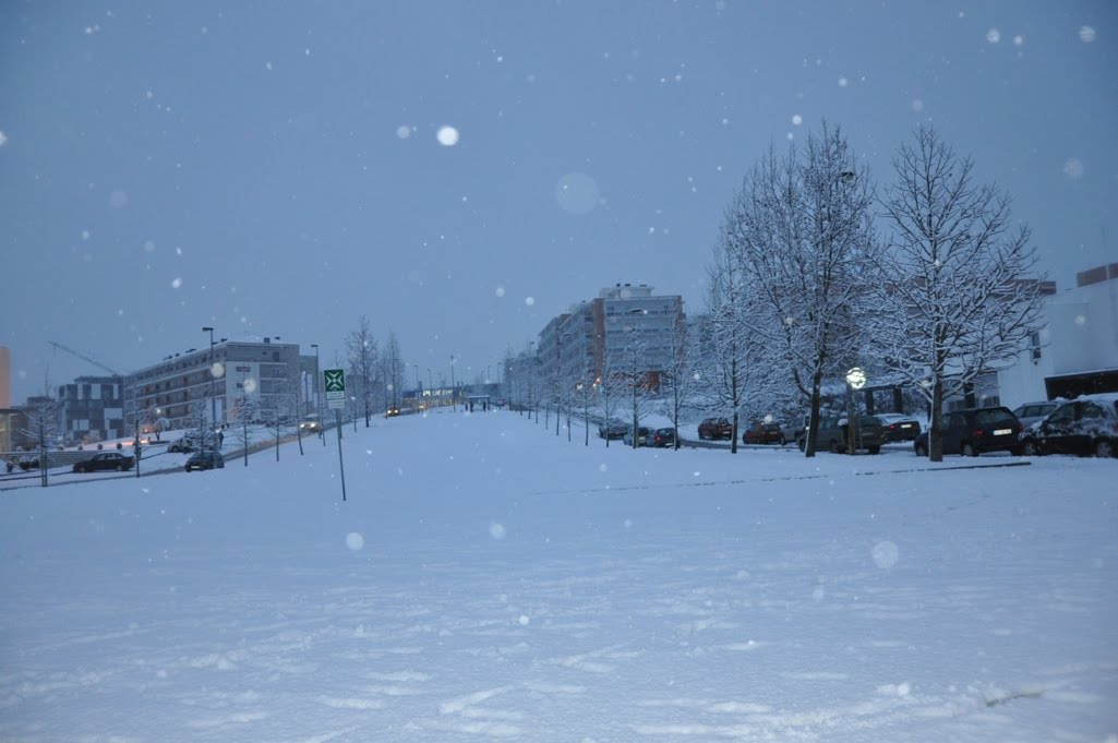 [DSC_0933b.JPG]