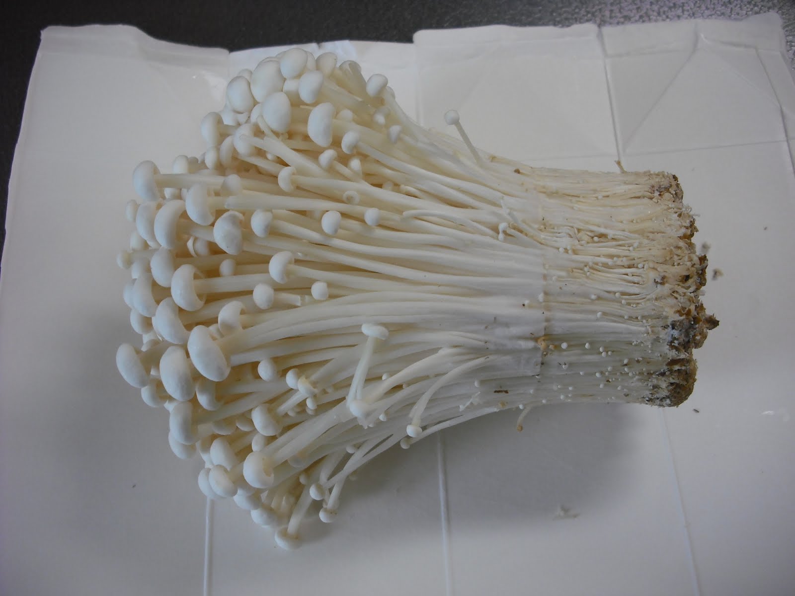 Hiroyuki's Blog on Japanese Cooking Making Dried Enokitake Mushrooms