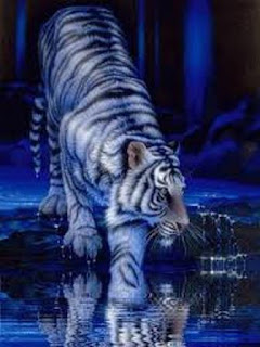 background for phones