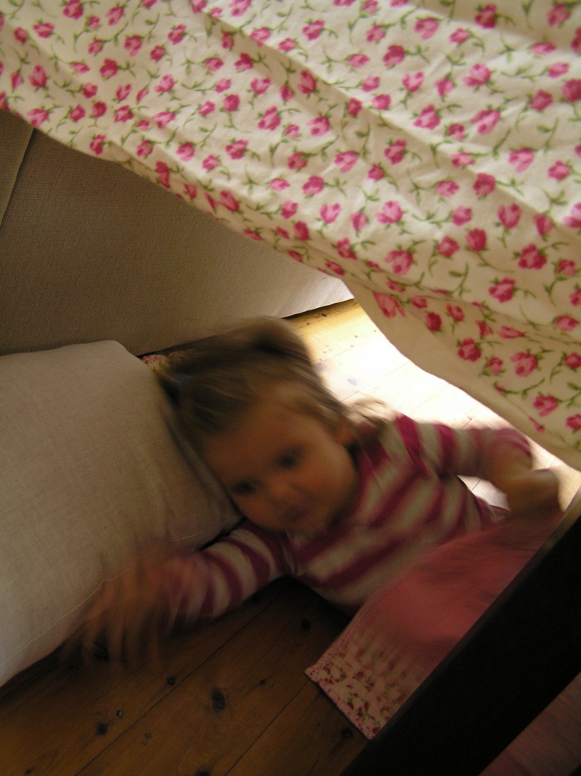 [P2110292.JPG]