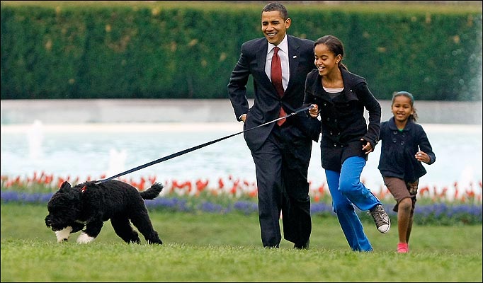 [SNN1502ZZ_682_781680a.jpg]