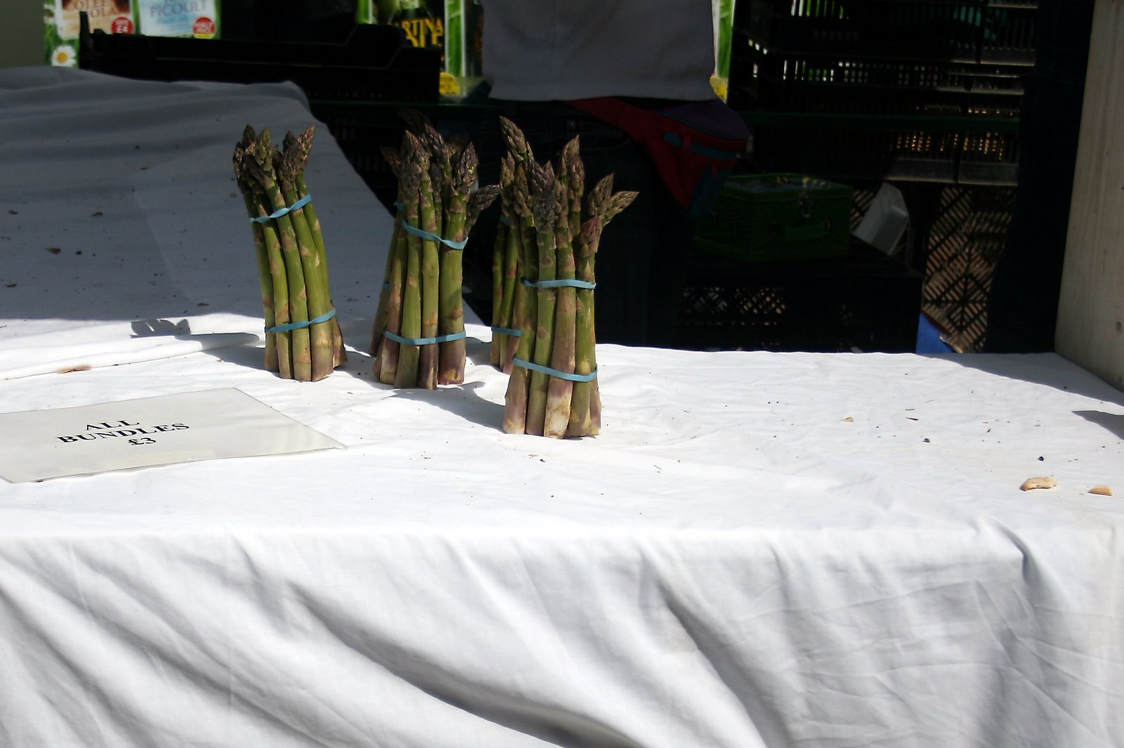 [IMG_2317_edited.jpg]