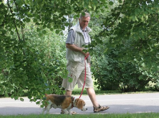 [2194111-sobota-mirka-topolanka.jpg]