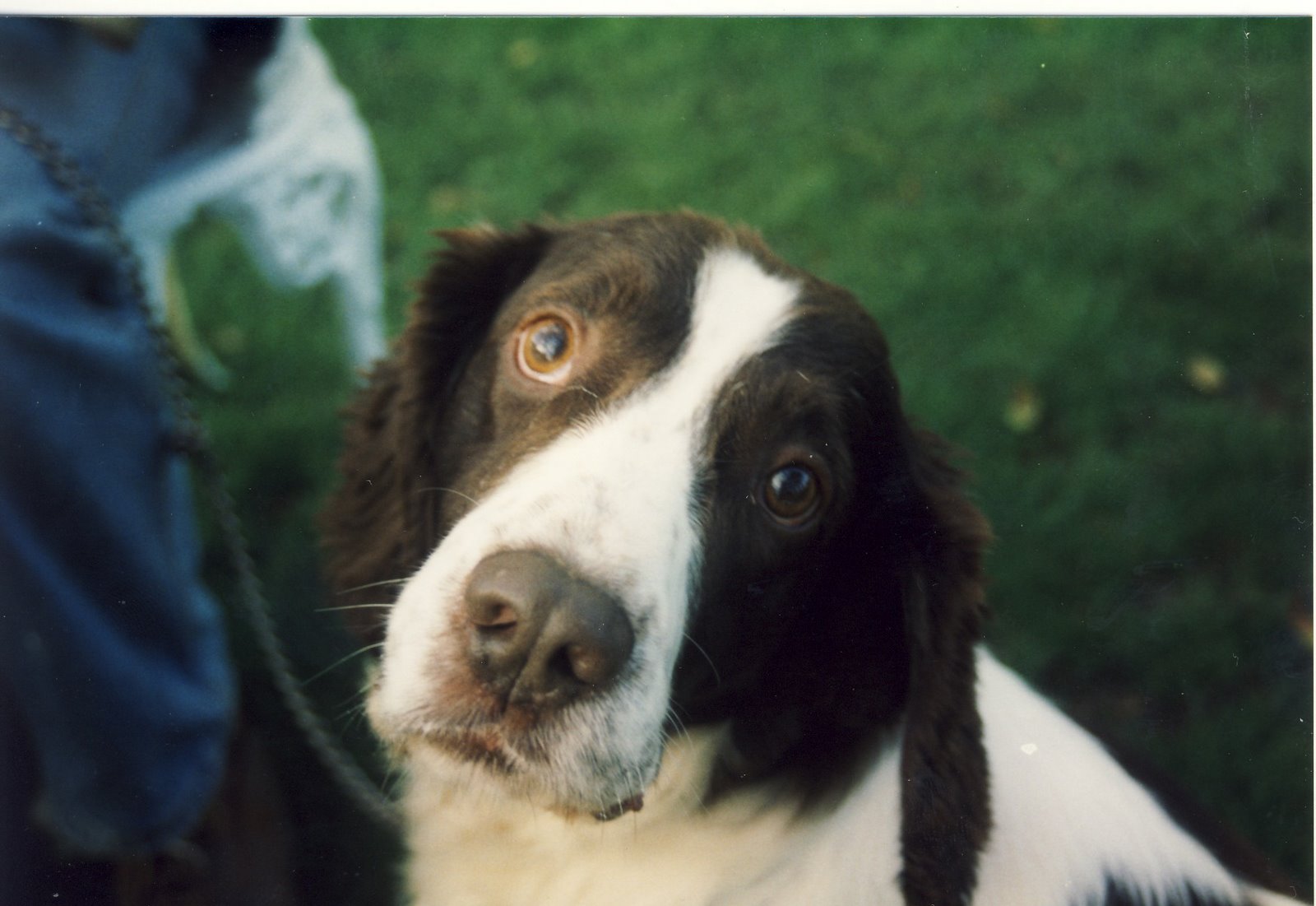 [ralph2000-Scanned-61.jpg]
