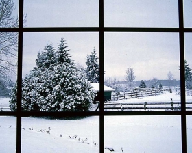 Window With Snow