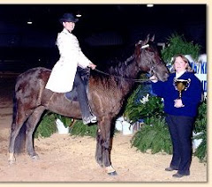 Guinness' half brother:  Barb's Stormy Knight, versatility champ!