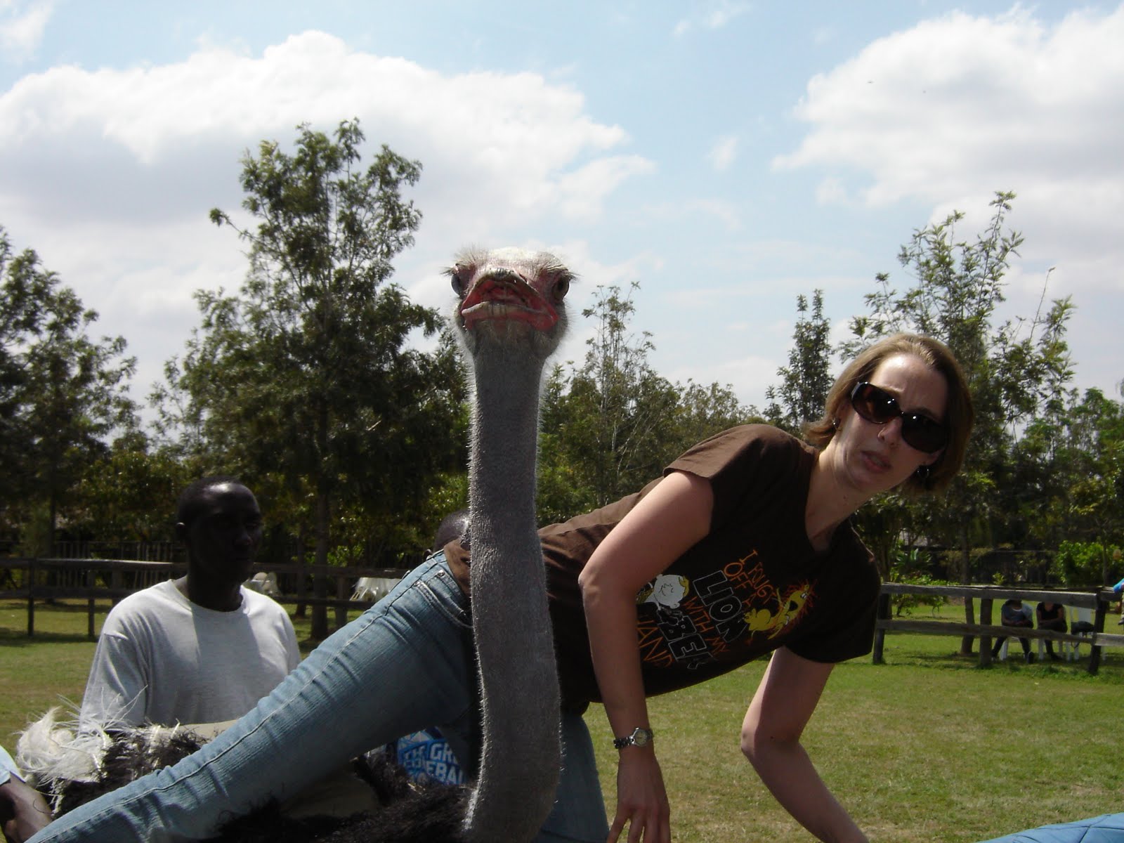 AidWorker: Ostrich riding!