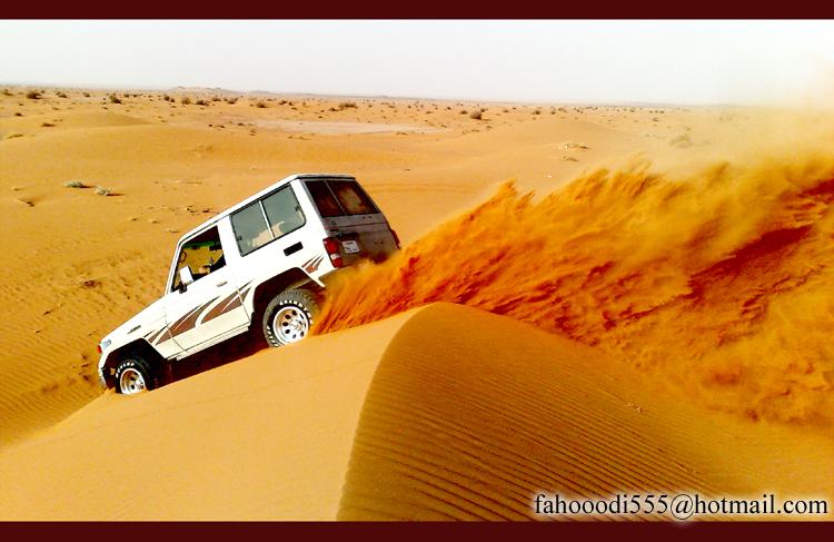 Essay on trip to desert