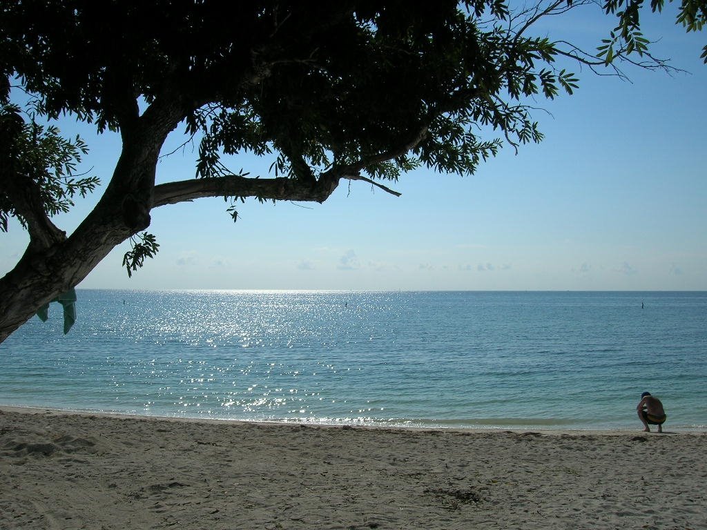 [CLWY+Beach+06-18-08.JPG]