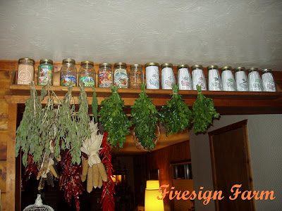 Growing Herbs to Dry