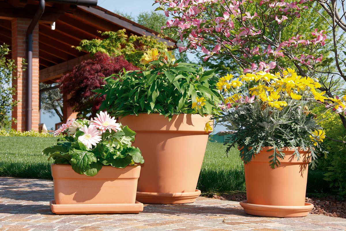Nel mondo di Pimpinella La terracotta, meraviglia di materiale.