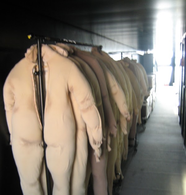 I am fat and forty plus Life is like a Roller Coaster.You