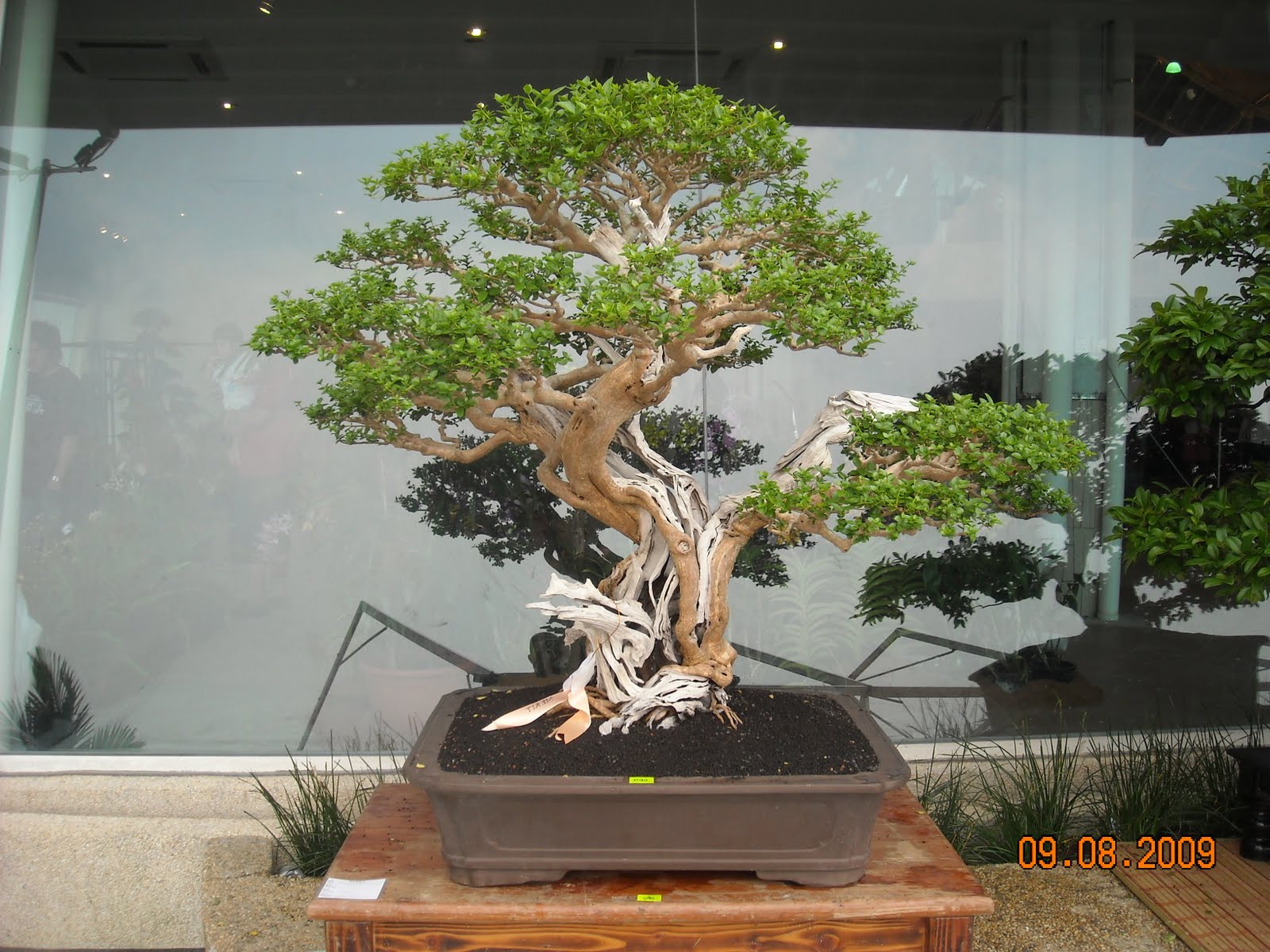 [DSCN1224.JPG]