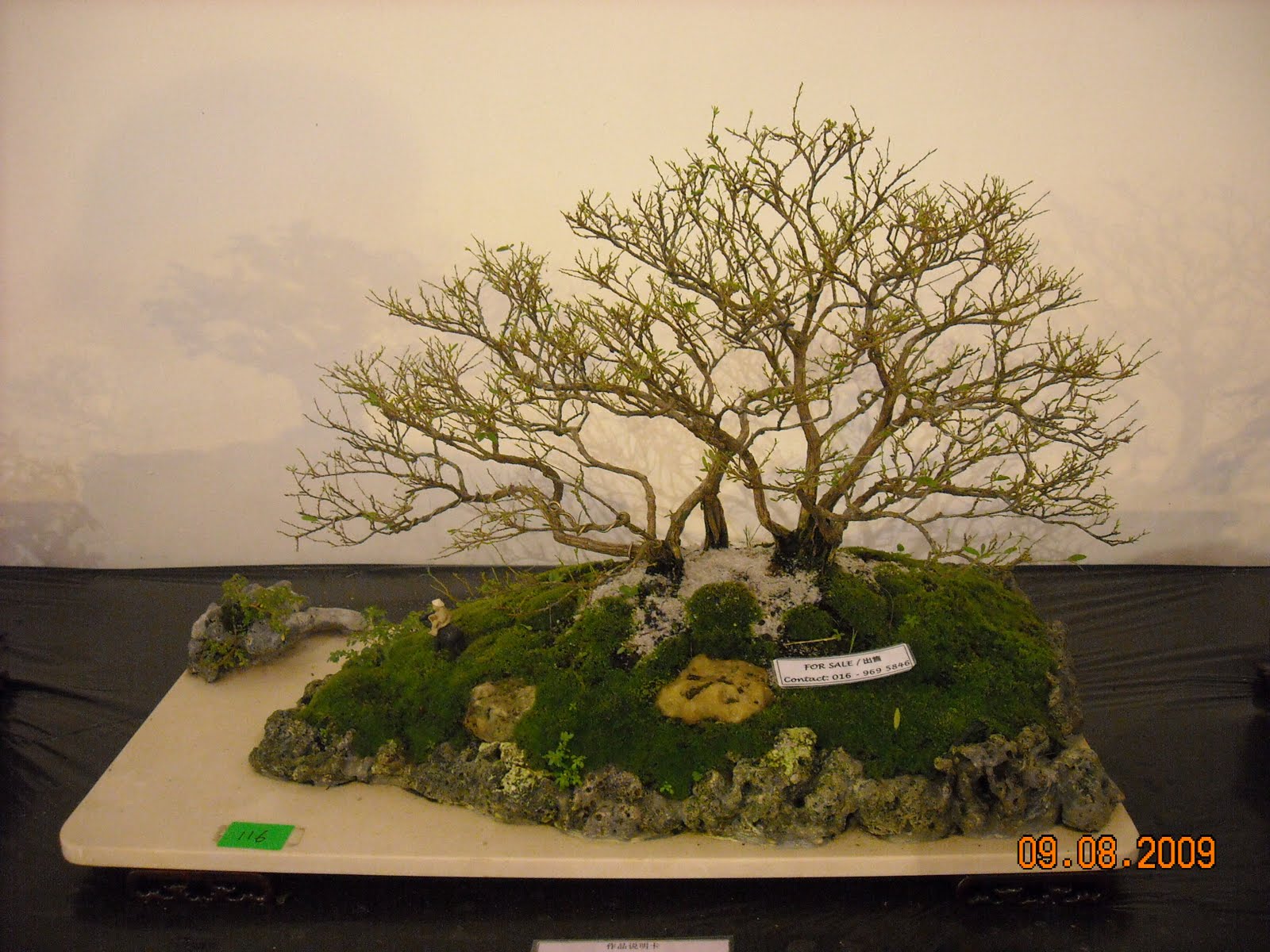 [DSCN1199.JPG]