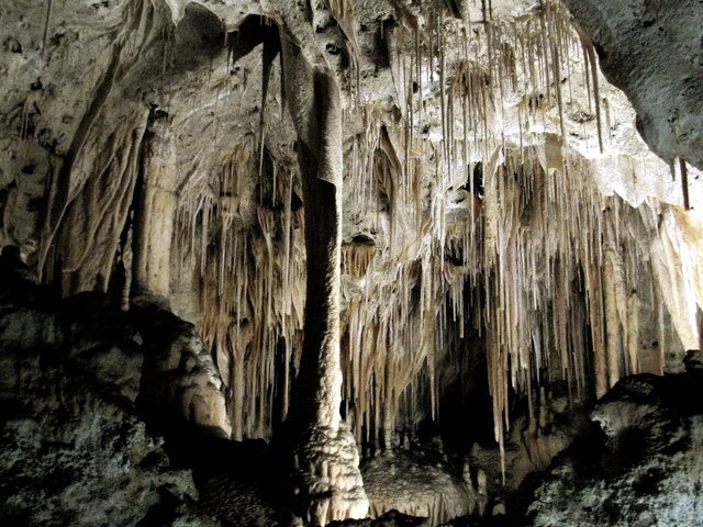 [IMG_5047.JPG]