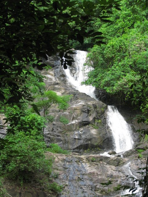 [IMG_5655.JPG]