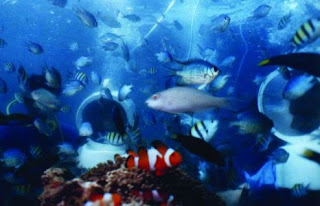 sea walker