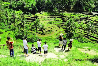 Eat, Pray, Love in Ubud Bali