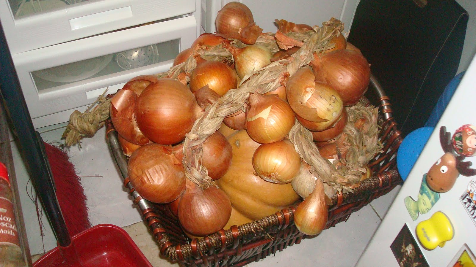 [DSC06604.JPG]