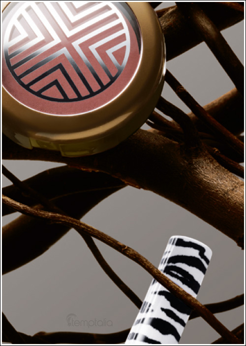 [media_stylewarriorsp003.jpg]