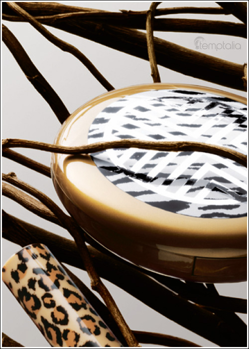 [media_stylewarriorsp004.jpg]