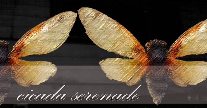 Cicada serenade