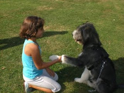 Yako y yo
