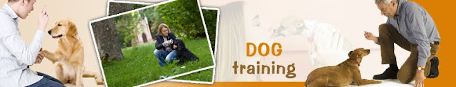 Dog Training and Care