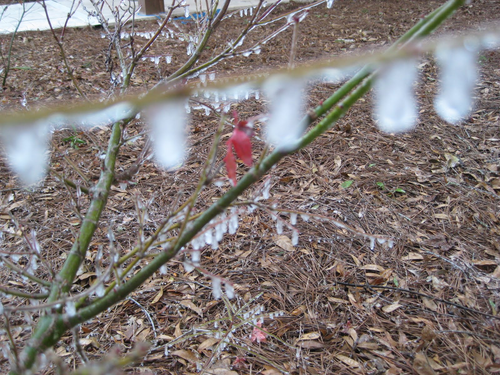 [cold+018.JPG]