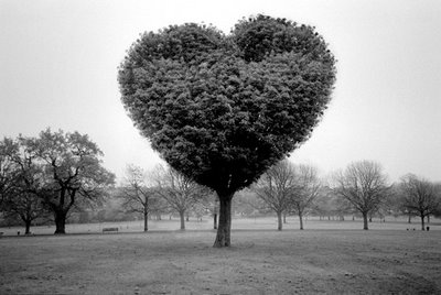 [heart4+(2).jpg]